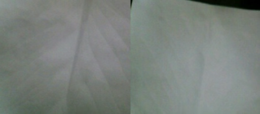 ce495a90d05061b225205543ac78e618.png 20250625/ce495a90d05061b225205543ac78e618.png